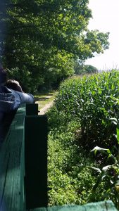 Wagon Ride at Hathaway Farm & Corn Maze