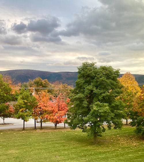 Hampton Inn - Manchester  Foliage 2020-10-01