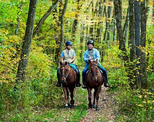 VT Dept Of Tourism Foliage 2020-09-11