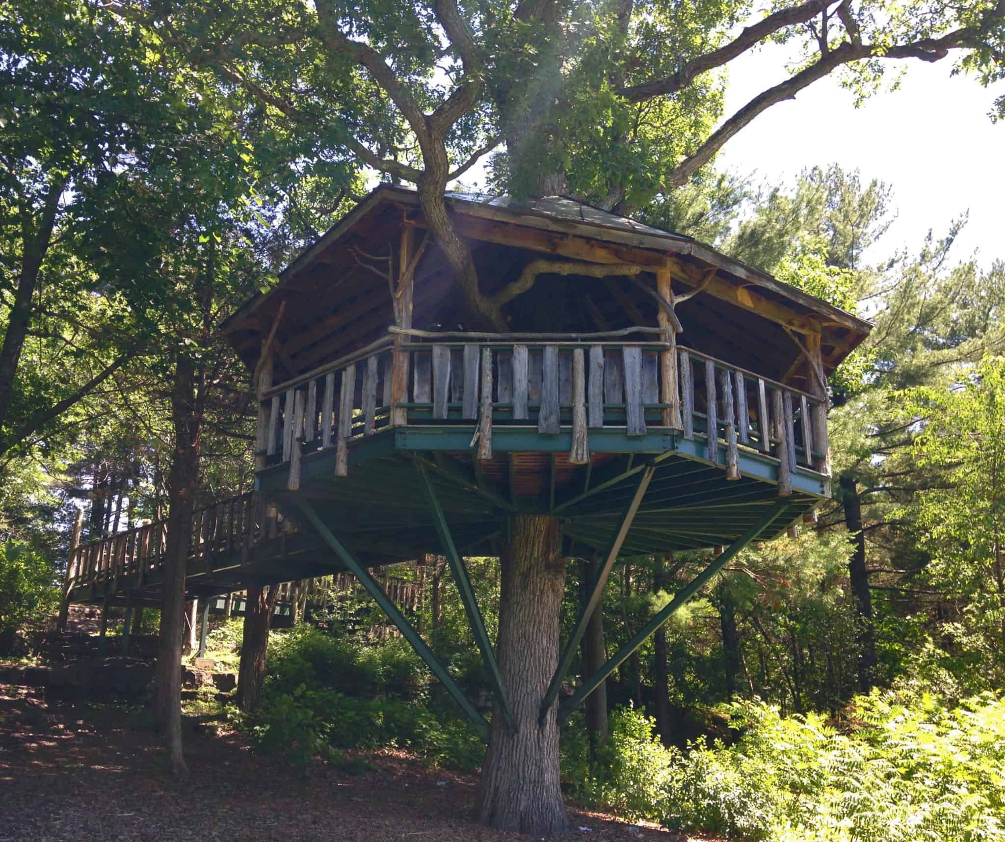 Oakledge Park - Treehouse