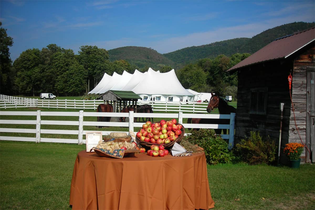 Waybury Inn - Wedding Tent with Horses and Apples