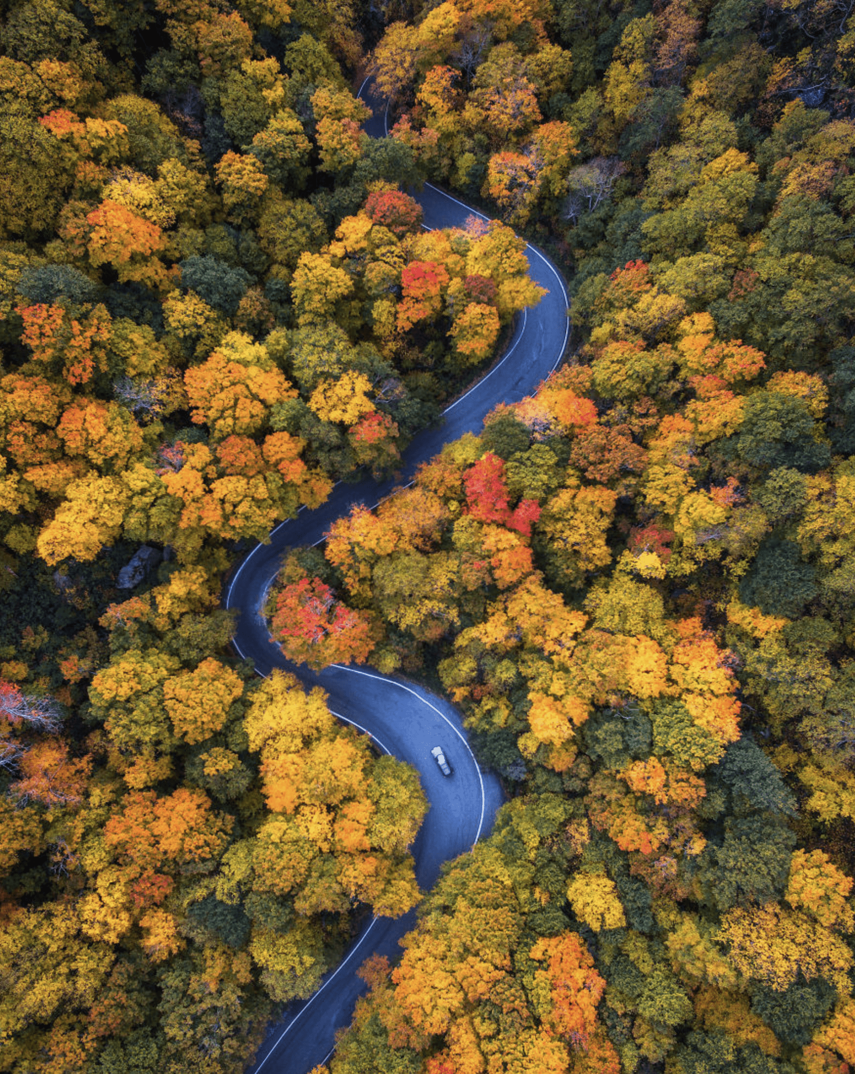 Notch Road Arial in Fall Foliage