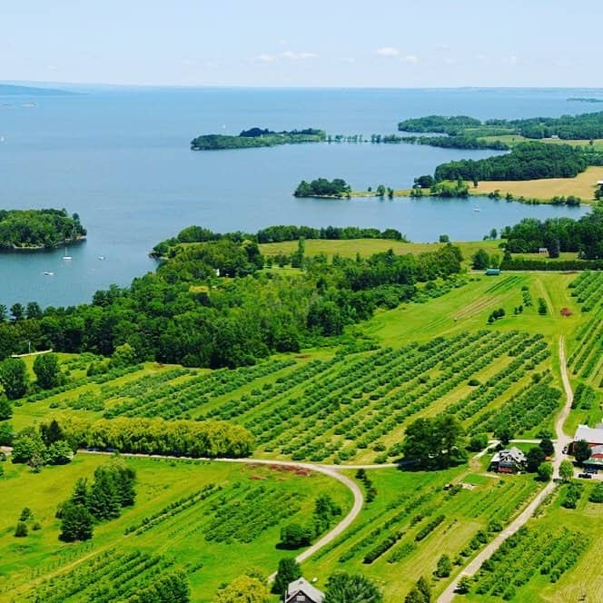 Shelburne Orchards - Summer Aerial View