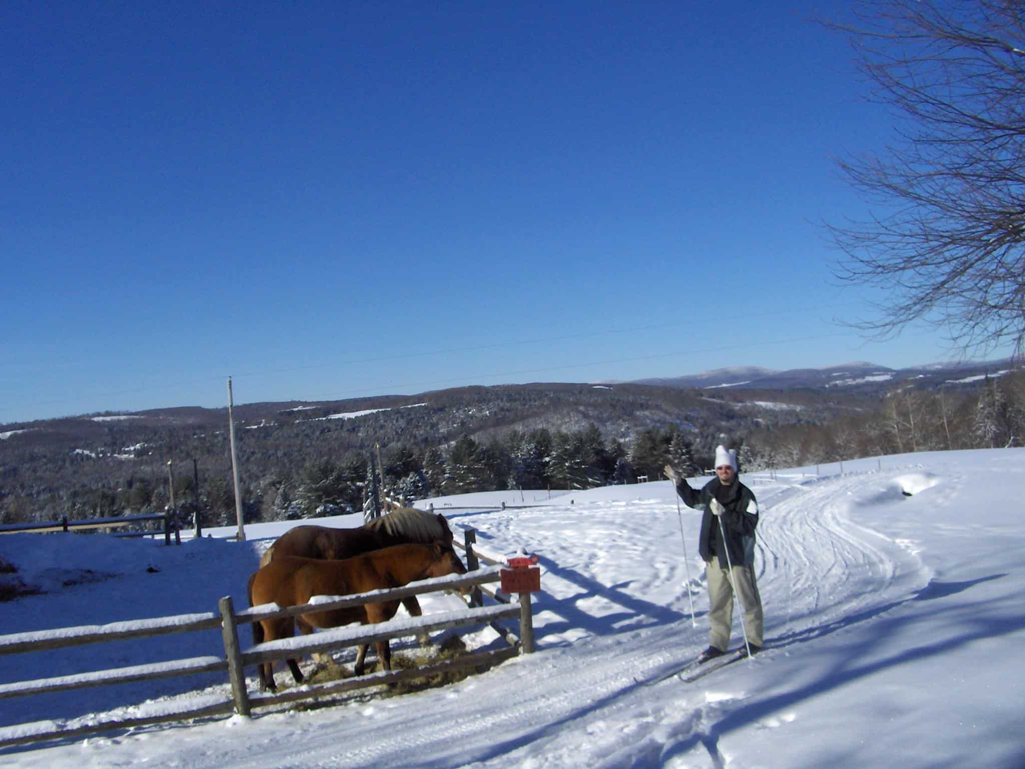 Burke Area Chamber of Commerce - Skier and Horse
