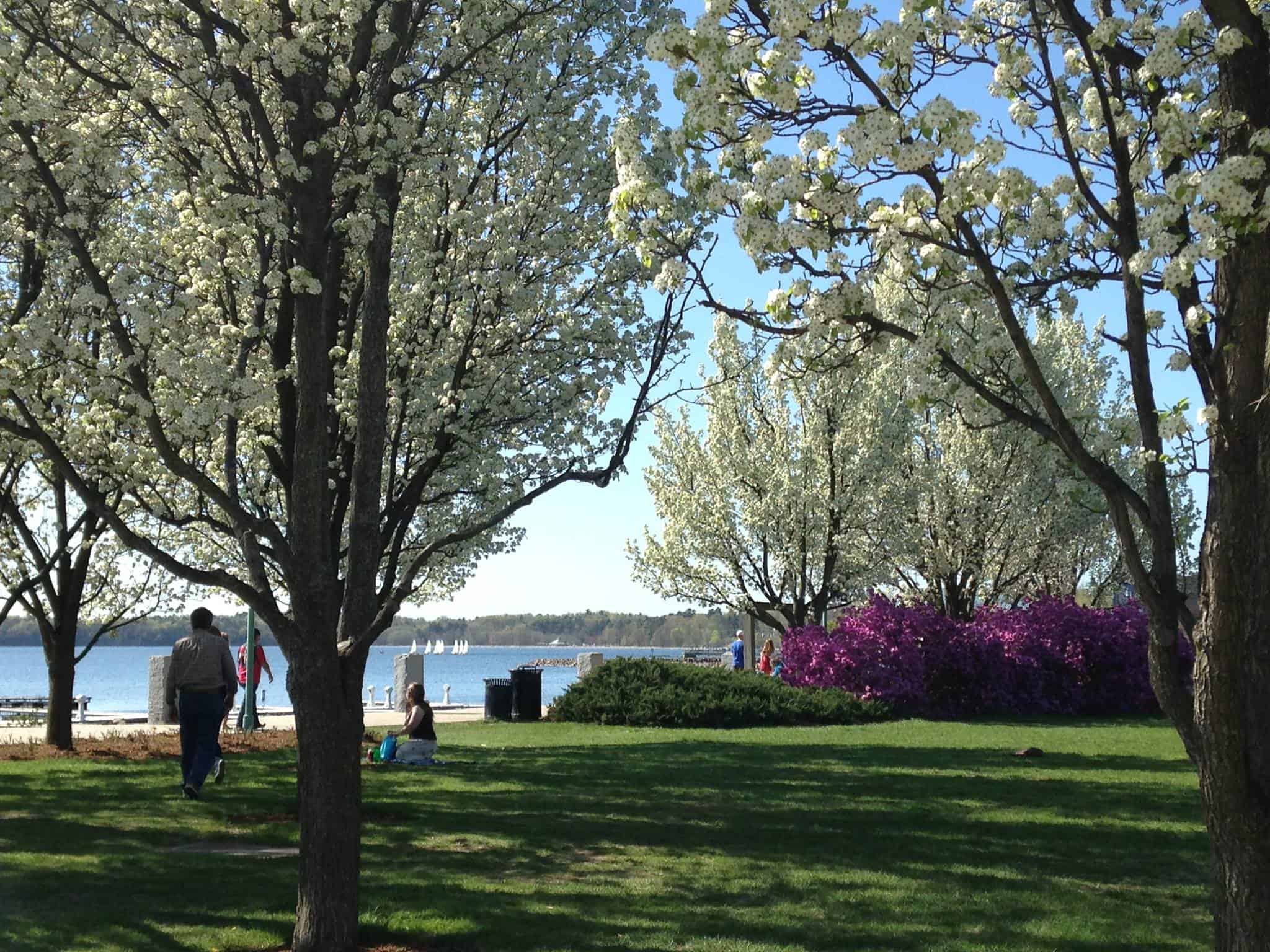 Burlington Parks & Rec - Waterfront Park Springtime