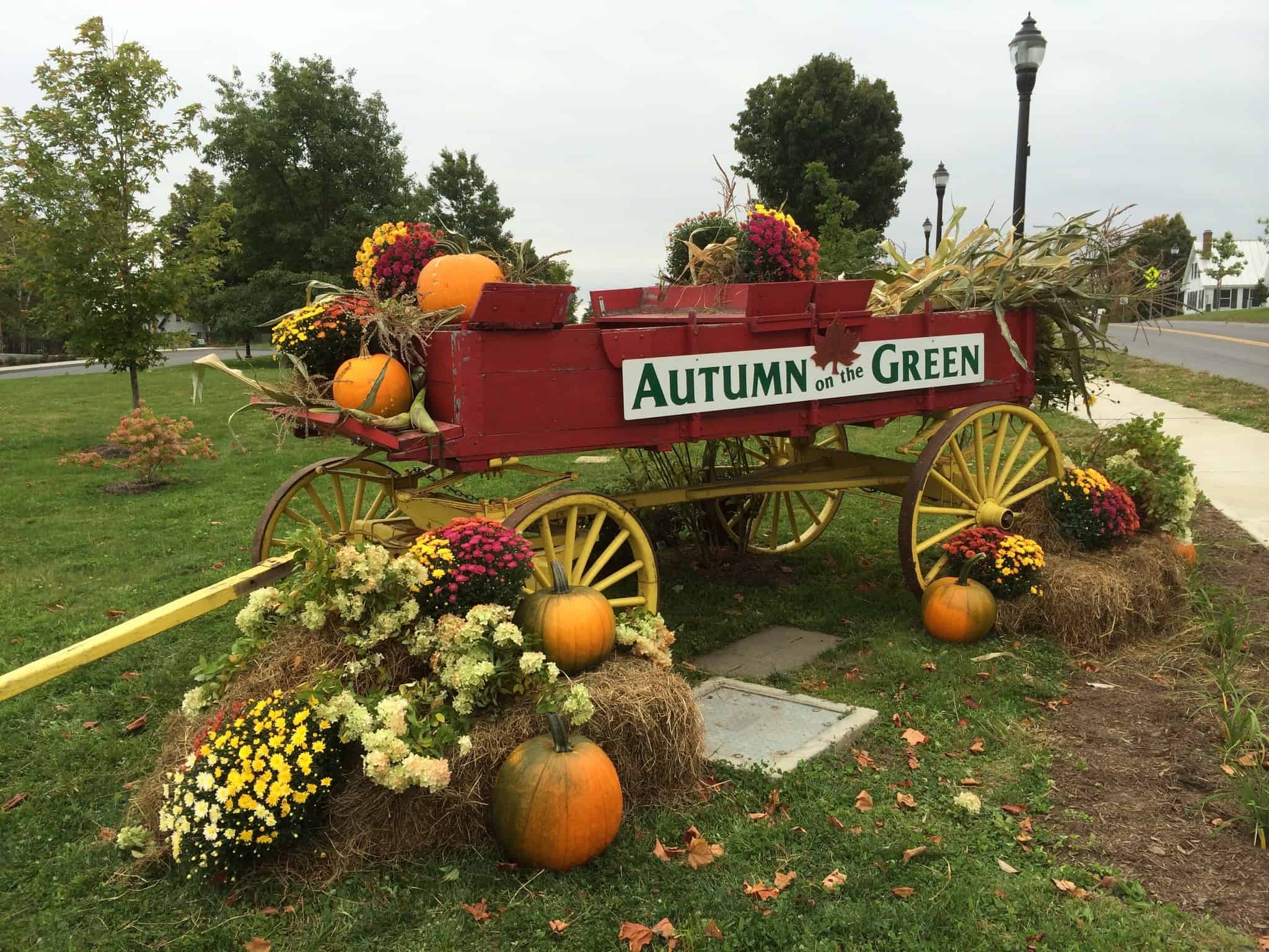 Danville Autumn on the Green Cart with Pumpkins and Flowers