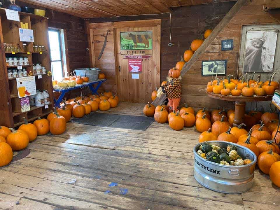 Hathaway Farm - Pumpkins in the Farm Store