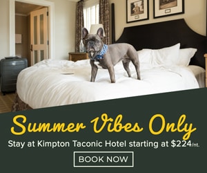 Kimpton-Taconic-Hotel---300x250---Summer-Vibes-Only---Dog-on-Bed