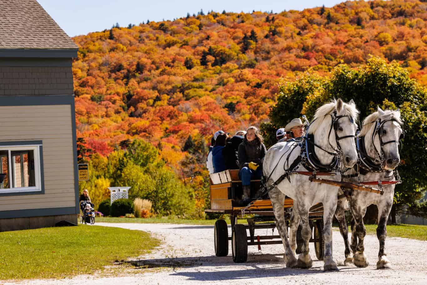 Killington Resort - Harvest Faire Foliage Wagon Rides