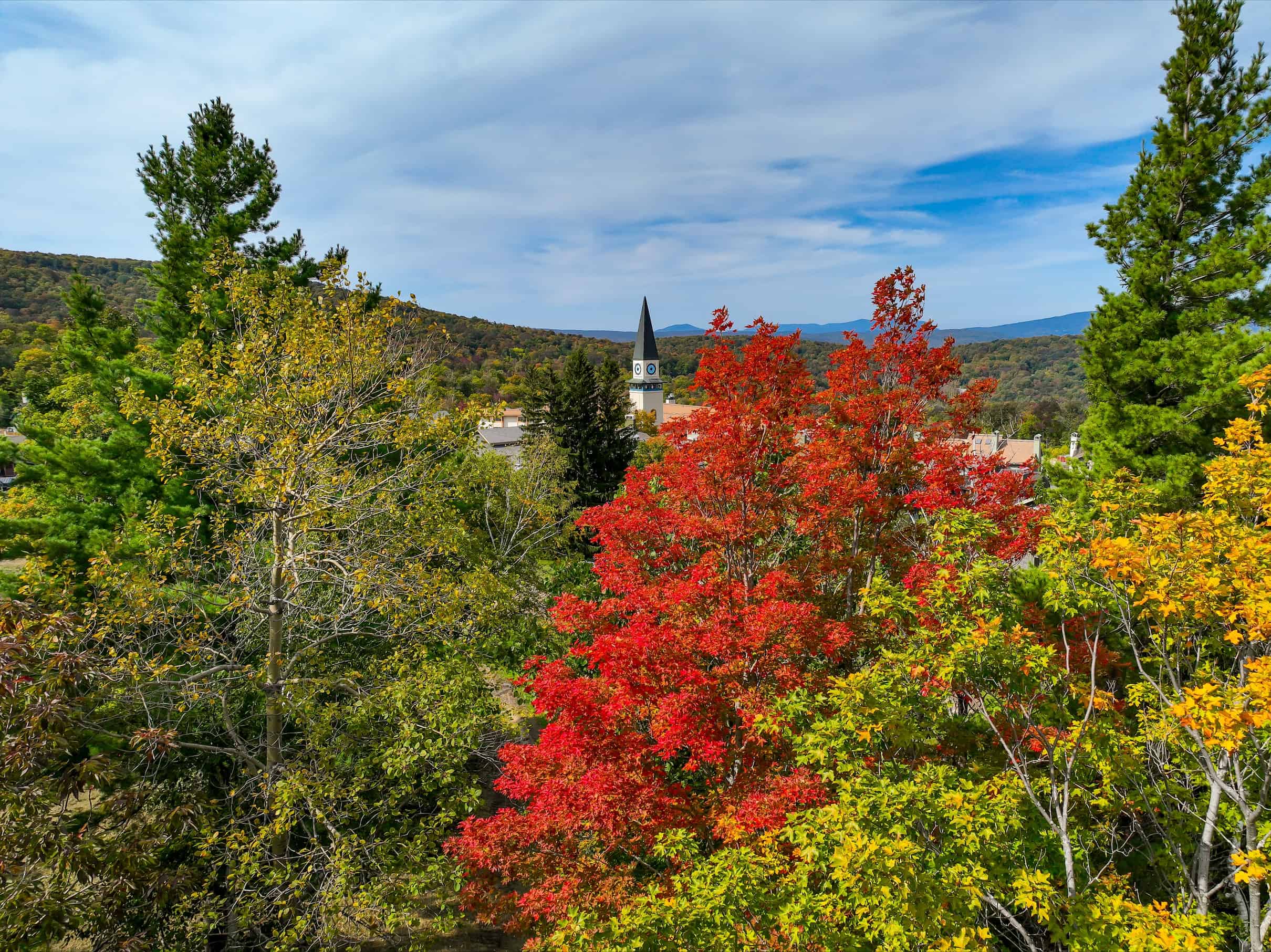 Stratton Mountain Resort Fall Foliage Report Red Tree