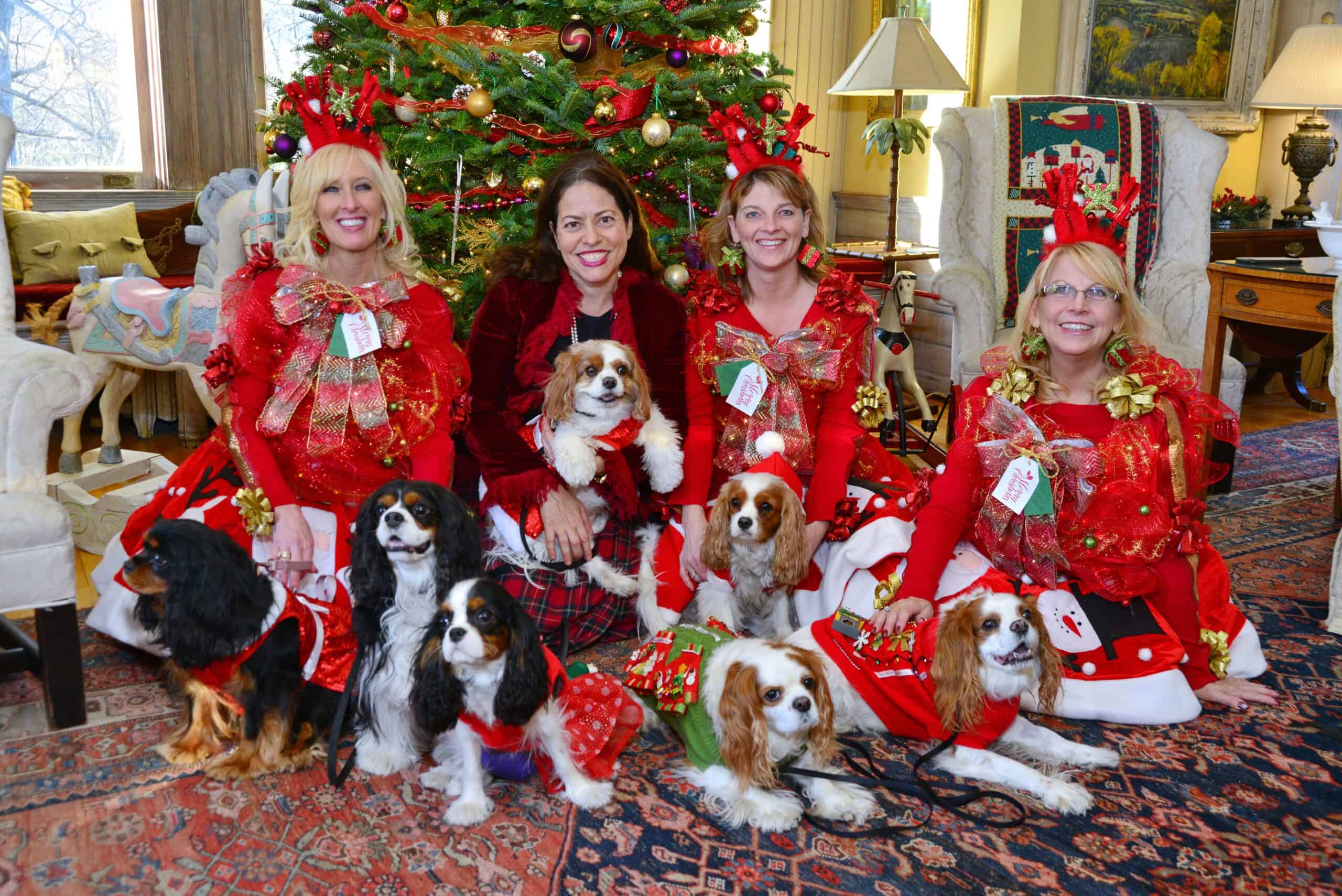 Canine Christmas Doggie Slumber Party at The Wilburton VT