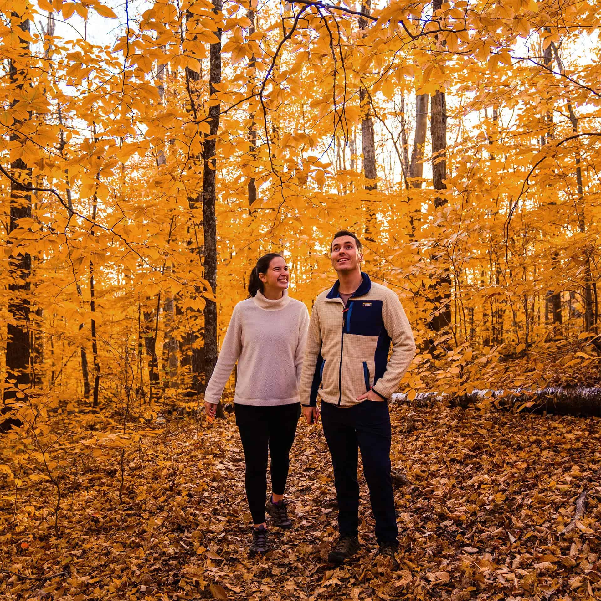 Holiday Inn Ascutney Foliage 02 - 1620x1620