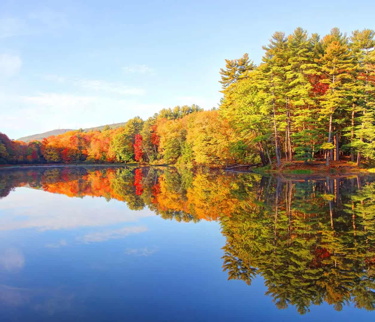 Holiday Inn Ascutney Foliage 05 - 1440x1080