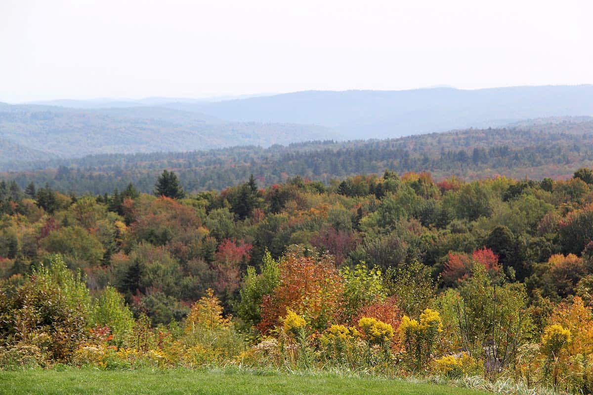Vermont Distillers Earlier Photo