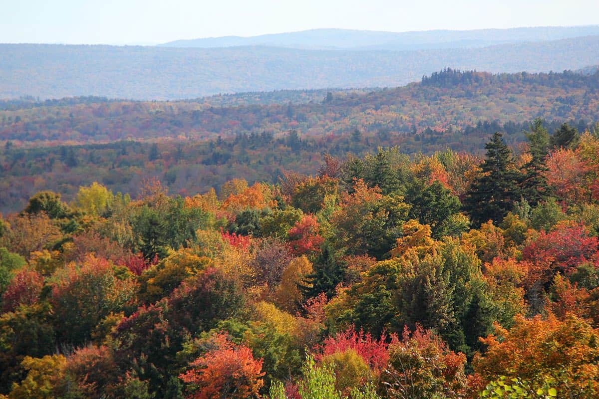 Vermont Distillers Hogback Mountain Overlook