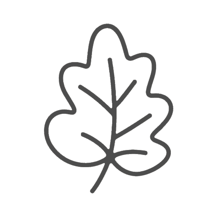 Eco-Friendly Icon