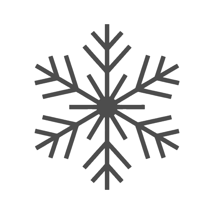 Winter Resorts Snowflake Icon
