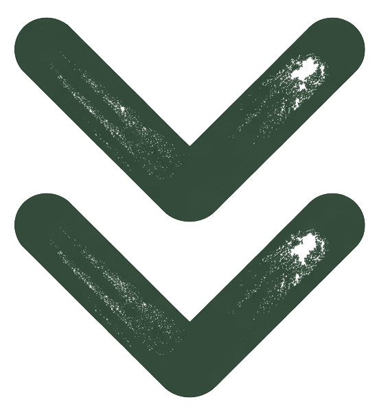 Scroll-Down-Chevron