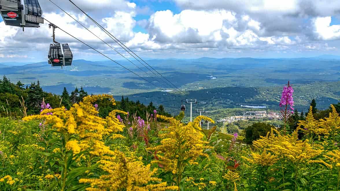Stratton Summer Summit Flowers Gondola