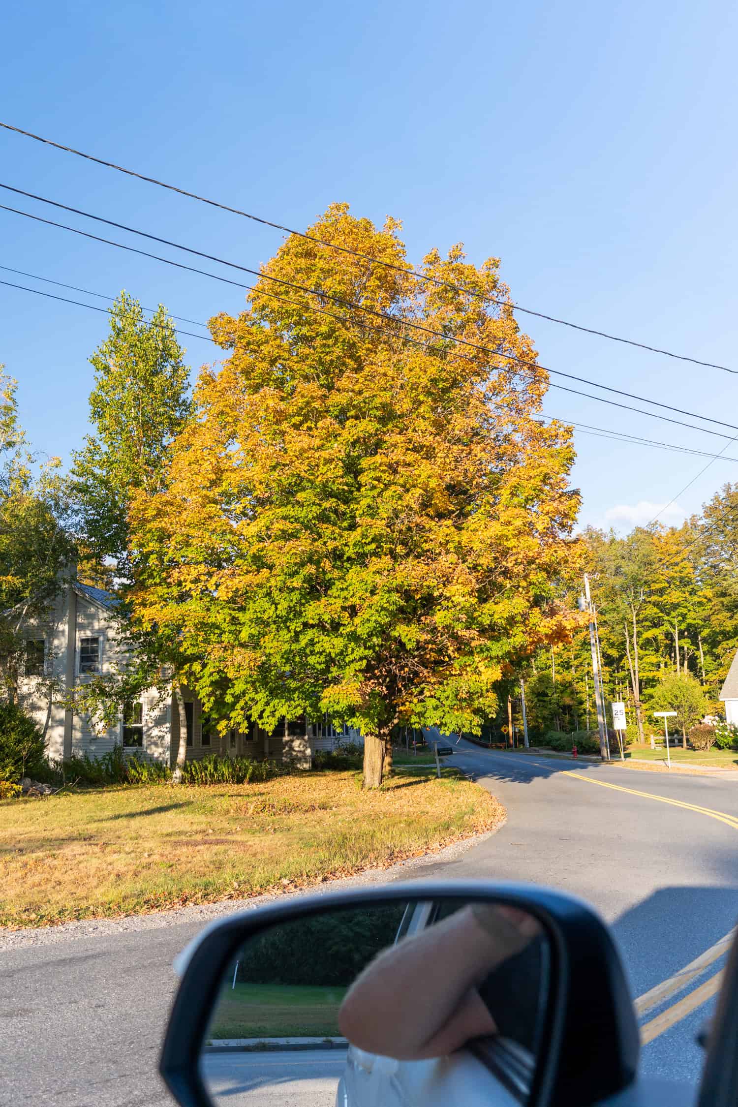 09_16_25 - Hildene - Auction Items and Early Foliage-85