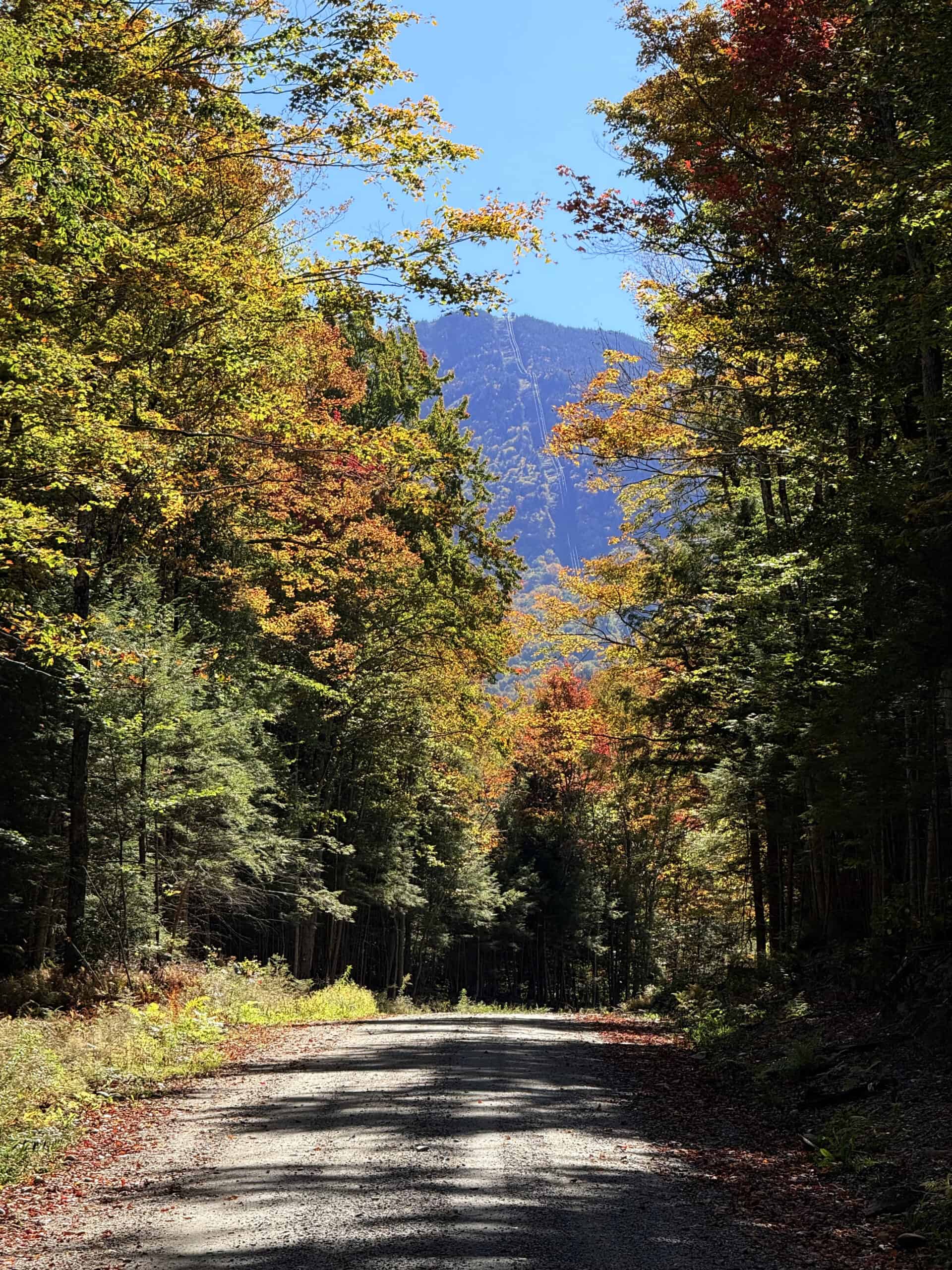 Smugglers Notch Fall Foliage IMG_0228 3