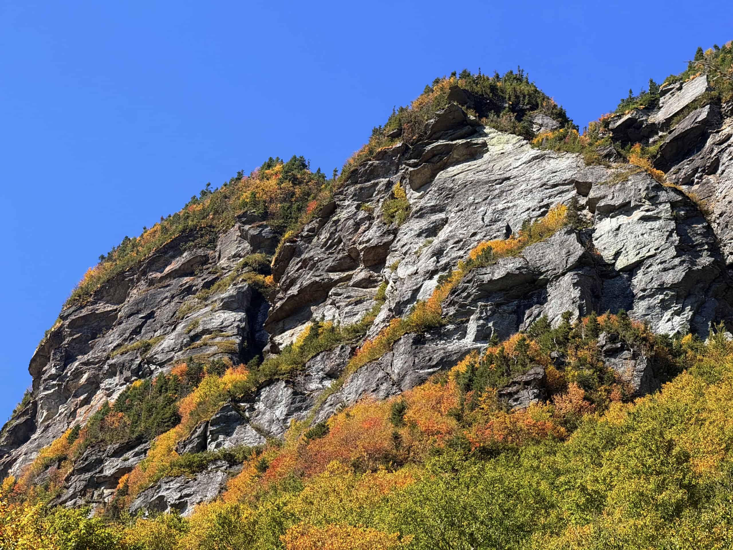 Smugglers Notch Fall Foliage IMG_0255 3