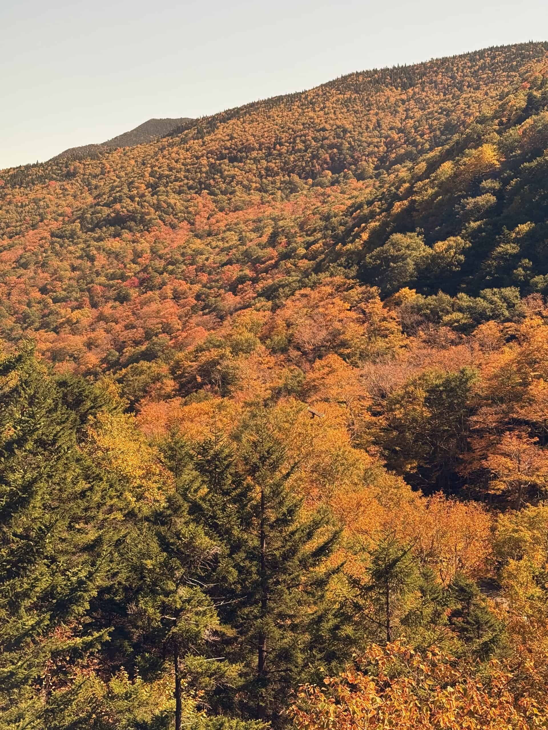Smugglers Notch Fall Foliage IMG_0263 3