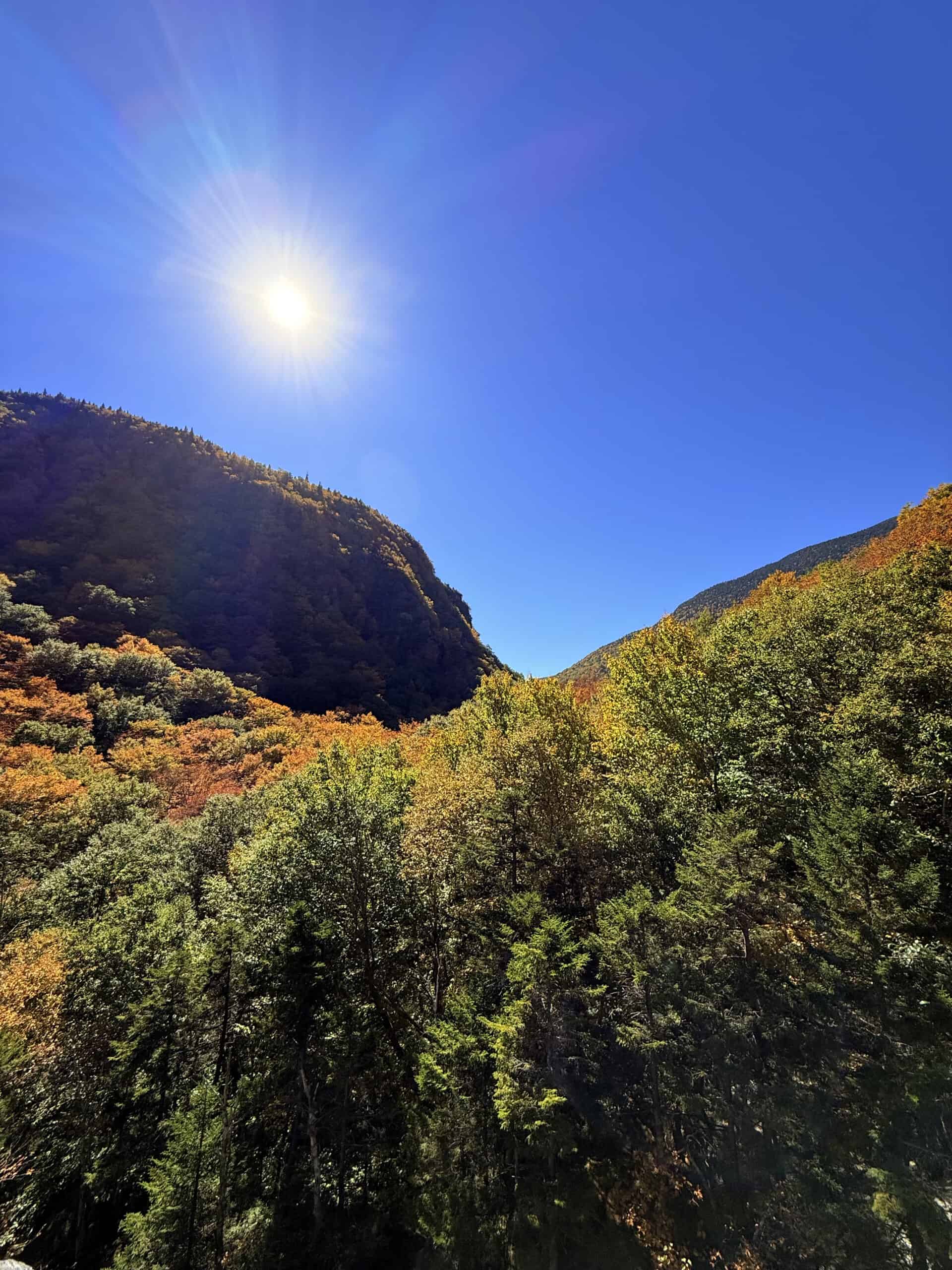 Smugglers Notch Fall Foliage IMG_0267 3