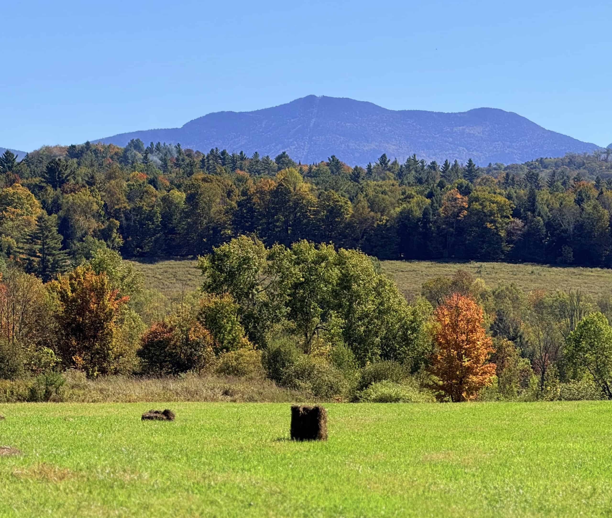 Smugglers Notch Fall Foliage IMG_0278 3