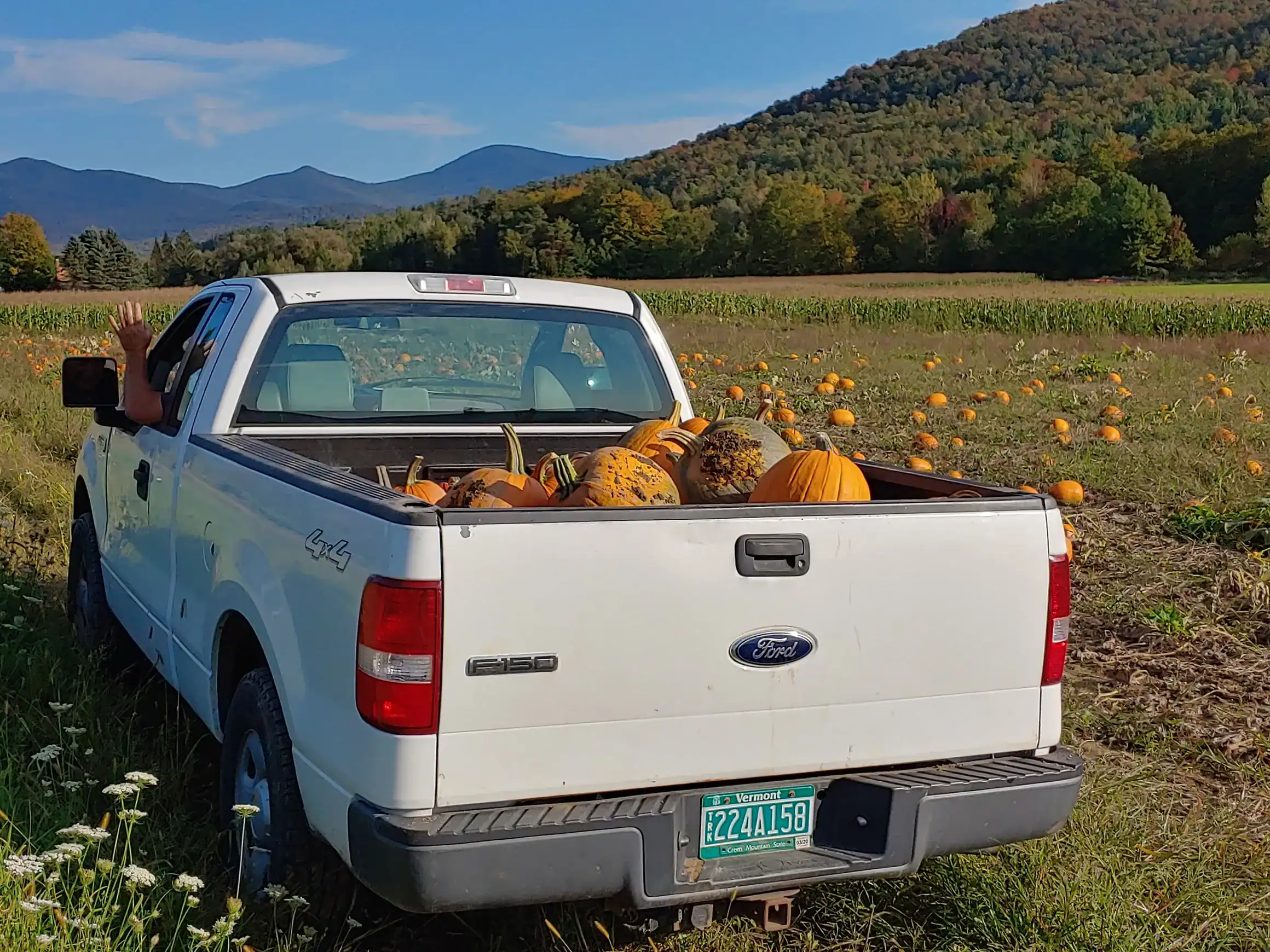 Smugglers Notch Resort Stony Grove Pumpkins Foliage