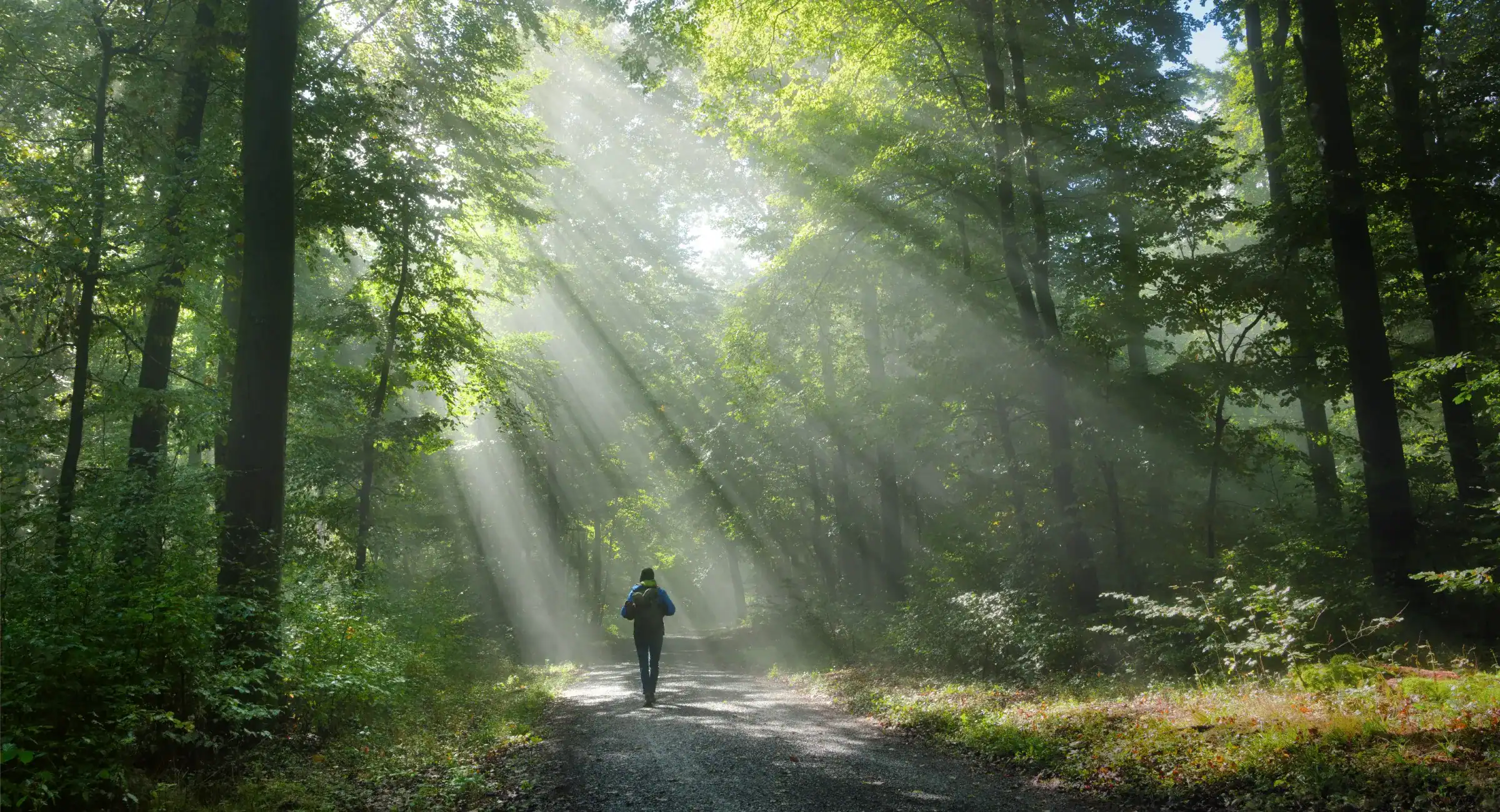 Sterling Ridge - shutterstock-spring-walkjpg